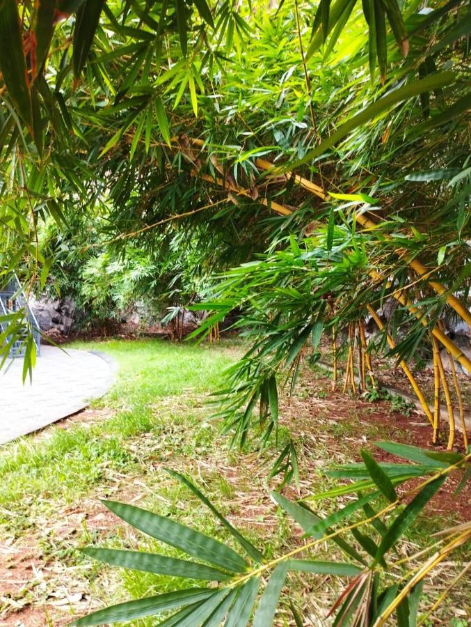Rockdale Resort Nilambūr エクステリア 写真
